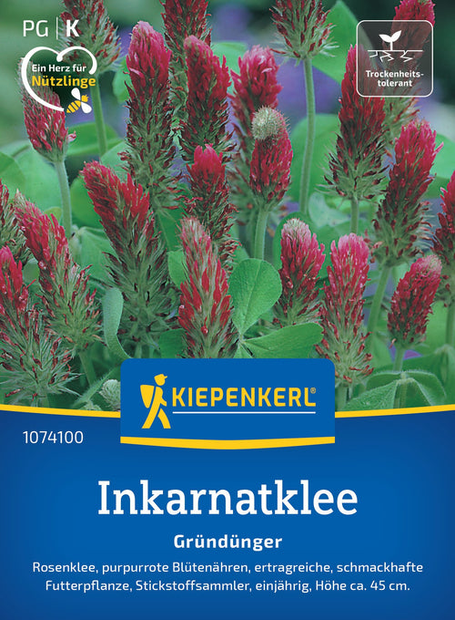 Kiepenkerl Gründünger Inkarnat- Rosenklee Loses Saatgut