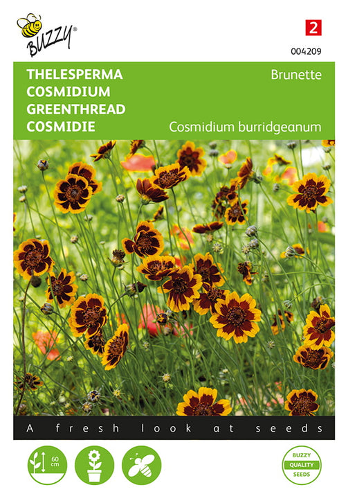 Buzzy Seeds Cosmidien Brunette