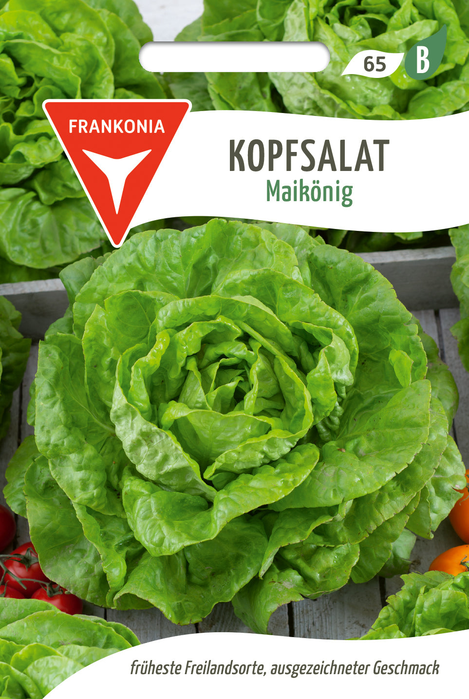Frankonia Samen Kopfsalat Maikönig