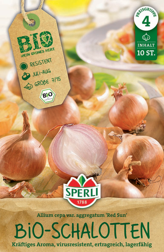 SPERLI BIO Rote Schalotte Red Sun 10 Stück
