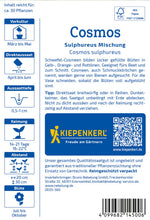 Kiepenkerl Schmuckkörbchen Sulphureus Mischung