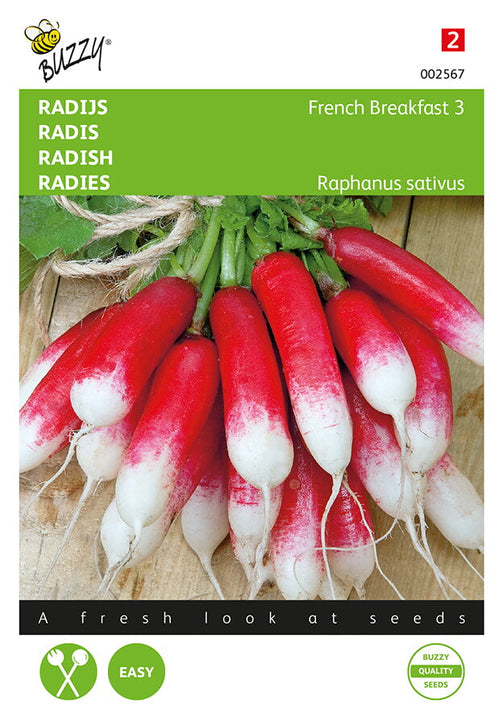 Buzzy Seeds Radieschen French breakfast 3