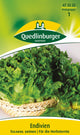 Quedlinburger Kopfendivie Escariol Grüner