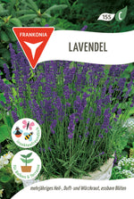 Frankonia Samen Lavendel