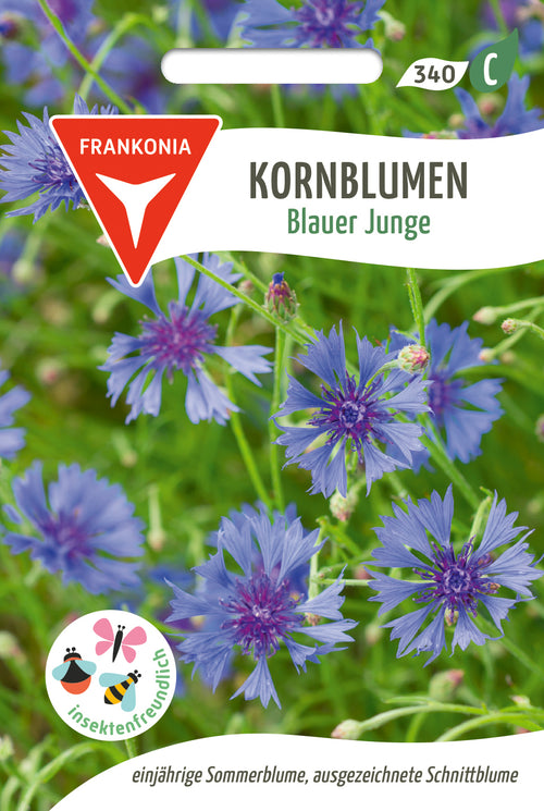 Frankonia Samen Kornblumen Blauer Junge