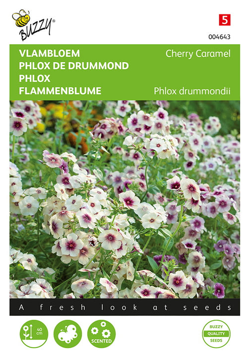 Buzzy Seeds Flammenblumen Cherry Caramel