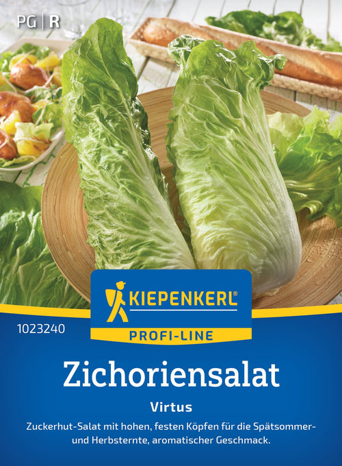 Kiepenkerl Zichoriensalat Virtus F1