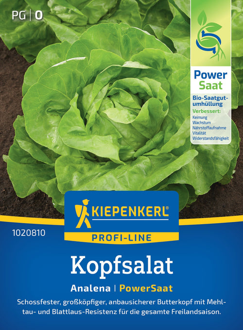 Kiepenkerl Kopfsalat Analena Pillensaat