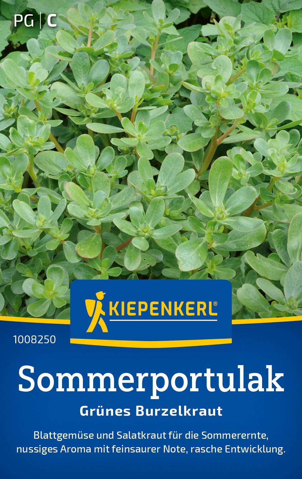 Kiepenkerl Portulak Grünes Burzelkraut