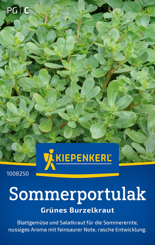 Kiepenkerl Portulak Grünes Burzelkraut