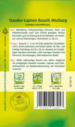 Quedlinburger Lupine Russels Mischung
