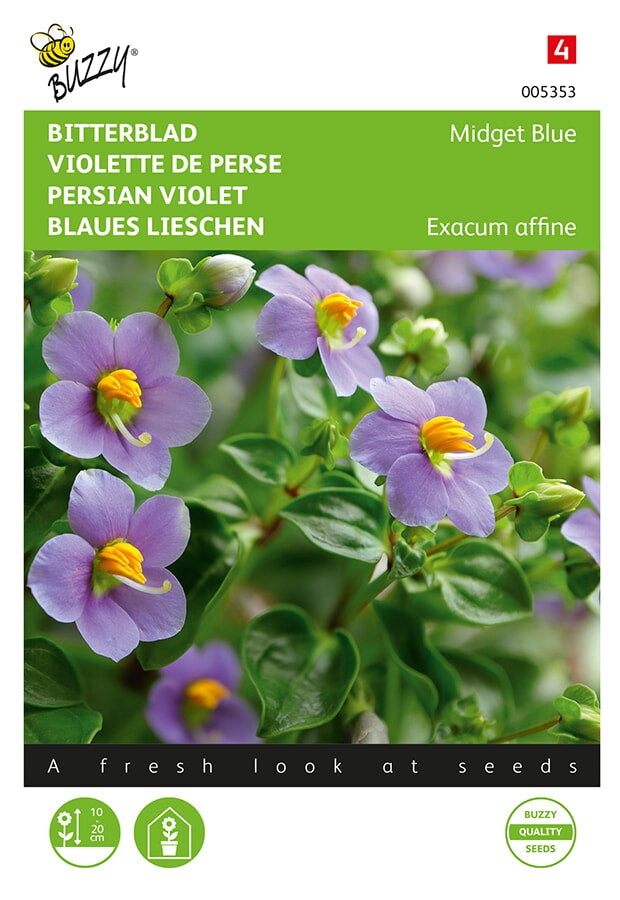 Buzzy Seeds Blaues Lieschen Midget Blue