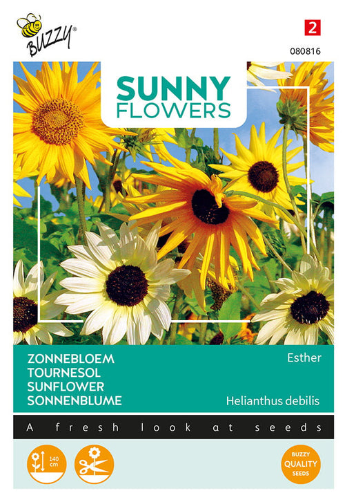 Buzzy Seeds Sonnenblume Esther