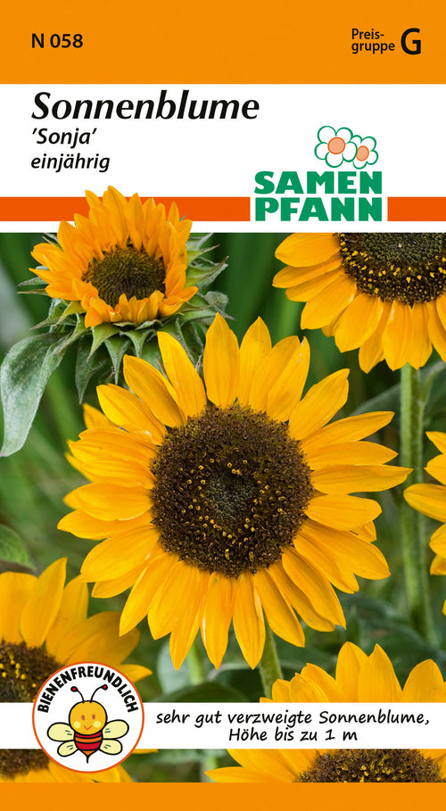 Samen Pfann Sonnenblume Sonja einjährig