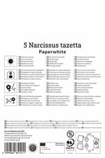 Zimmer-Narzisse Paperwhite