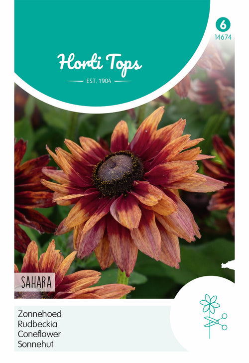 Horti Tops Sonnenhut Sahara