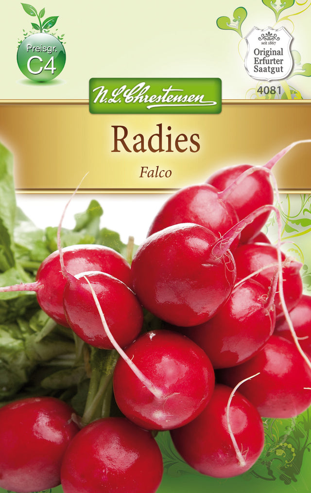 N.L. Chrestensen Radies Falco