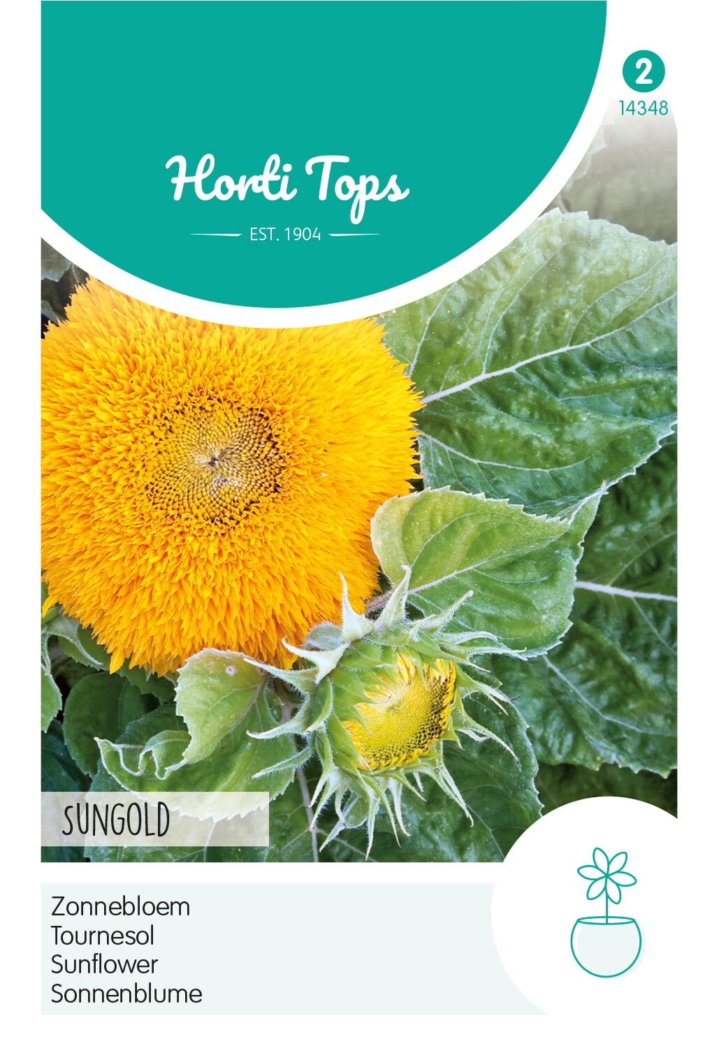 Horti Tops Sonnenblume Sungold Niedrig Gefüllt