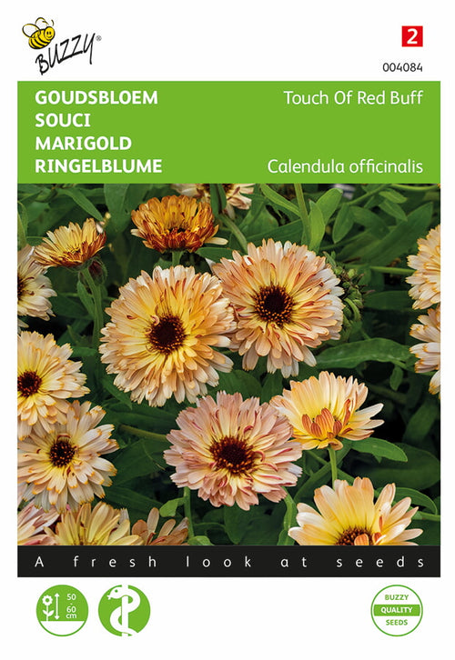 Buzzy Seeds Ringelblumen Touch Of Red Buff