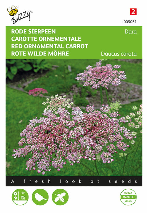 Buzzy Seeds Rote Wilde Möhre Dara