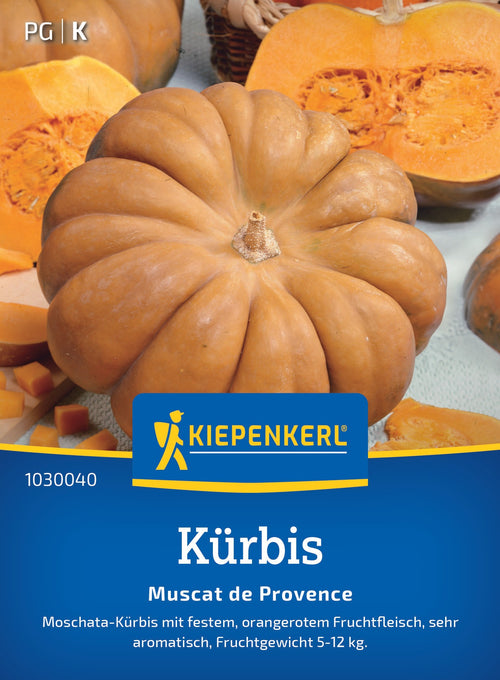 Kiepenkerl Kürbis Muscat de Provence