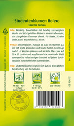 Quedlinburger Studentenblume Bonita Bolero