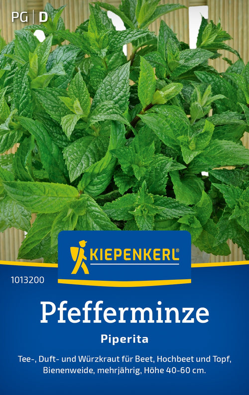 Kiepenkerl Pfefferminze Piperita