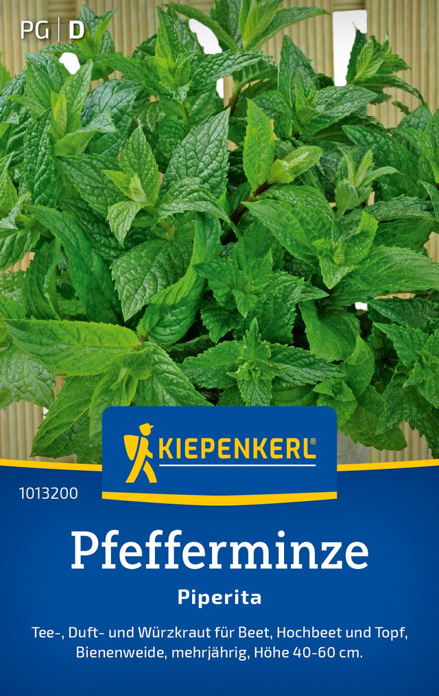 Kiepenkerl Pfefferminze Piperita