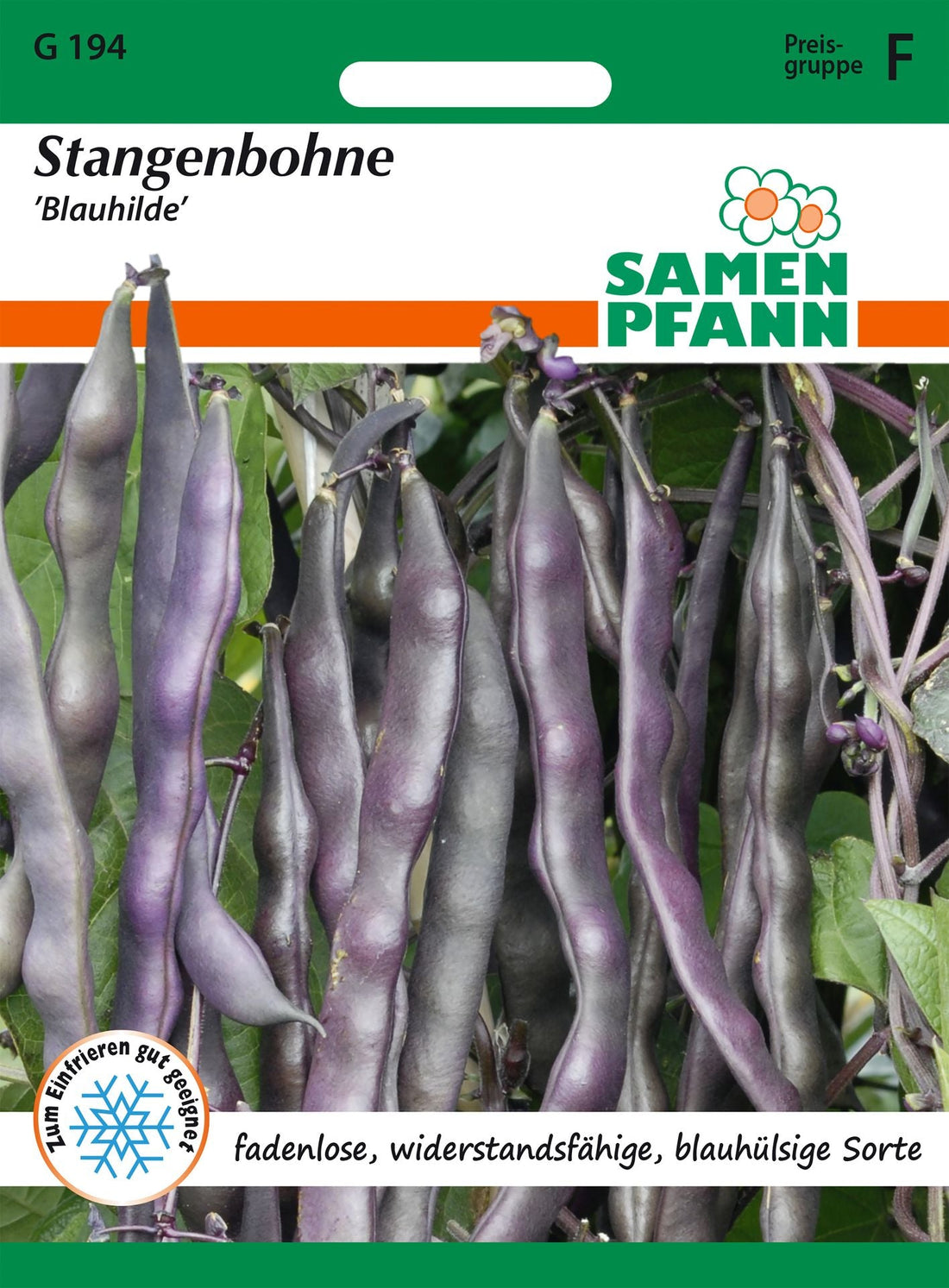 Samen Pfann Stangenbohne Blauhilde