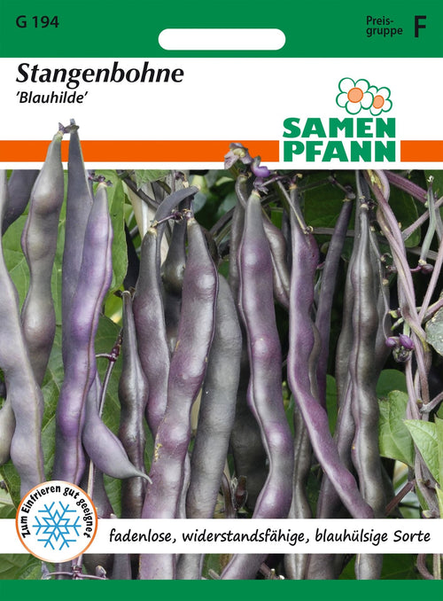 Samen Pfann Stangenbohne Blauhilde