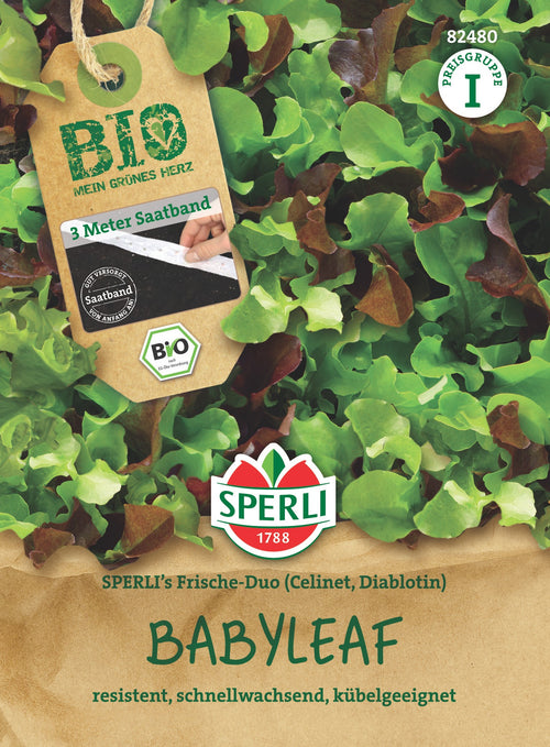 SPERLI BIO Pflück- & Schnittsalat SPERLI's Frische-Duo, Celinet, Diablotin Saatband