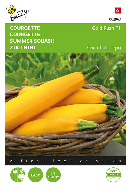 Buzzy Seeds Zucchini Gold Rush F1