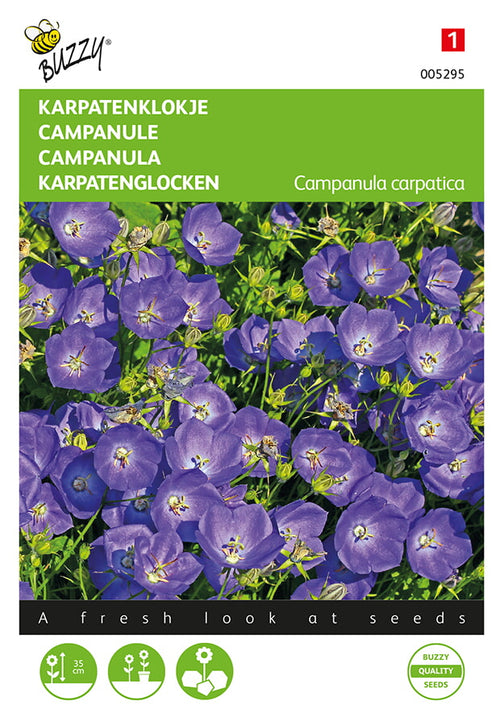 Buzzy Seeds Karpatenglockenblumen Blau
