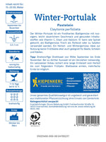 Kiepenkerl Portulak Postelein