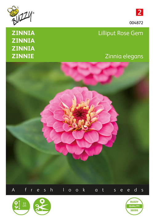 Buzzy Seeds Zinnien Lilliput Rose Gem