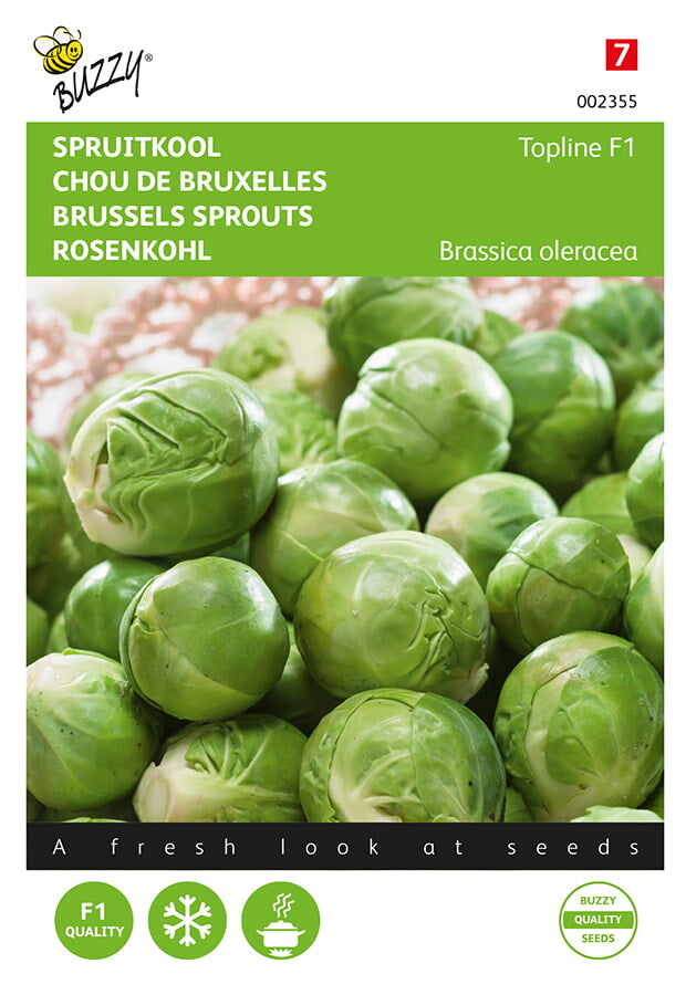 Buzzy Seeds Rosenkohl Topline F1