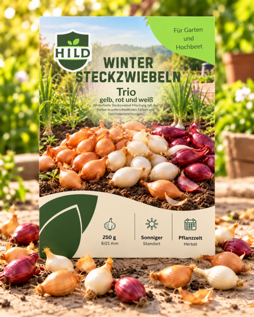 HILD Wintersteckzwiebeln Trio 250 Gramm