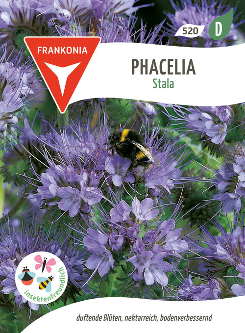 Frankonia Samen Phacelia Stala