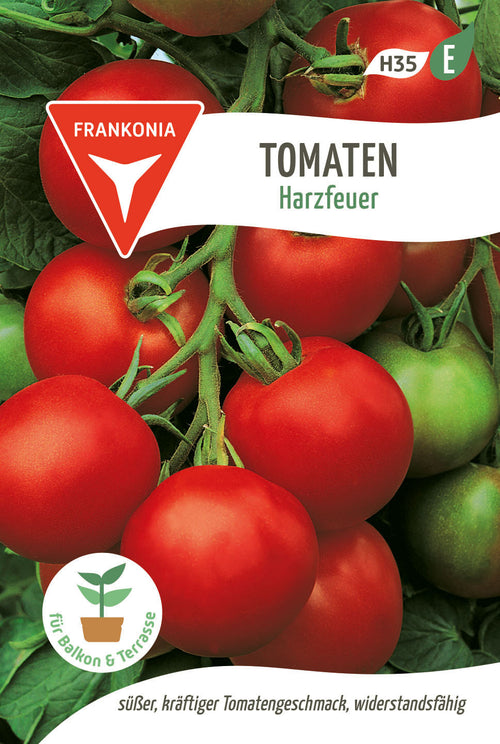 Frankonia Samen Salattomaten Harzfeuer