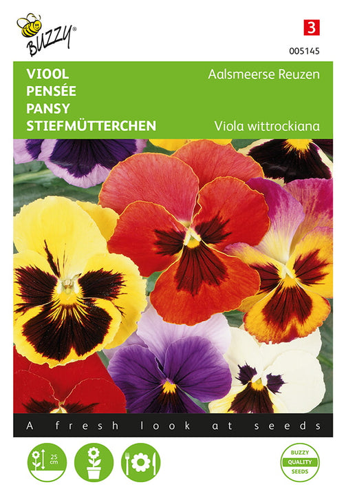 Buzzy Seeds Stiefmütterchen Riesen von Aalsmeer Mischung