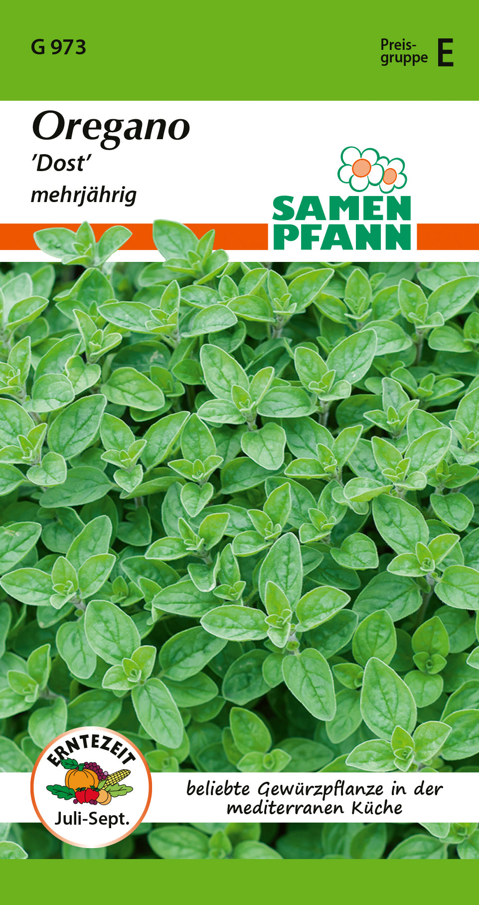 Samen Pfann Oregano Dost Mehrjährig