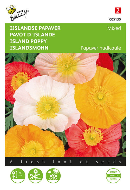Buzzy Seeds Islandsmohn Excelsior Mischung