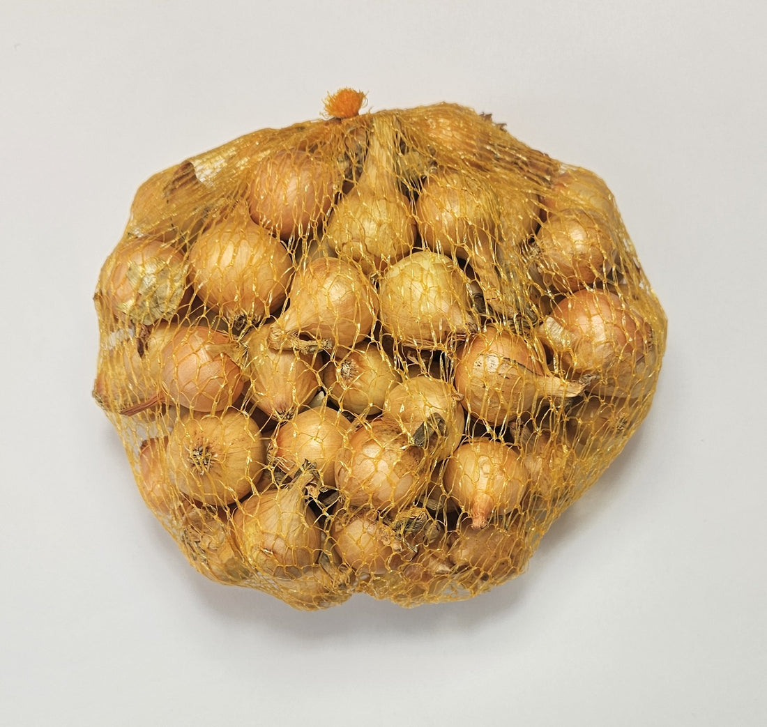 Samen Pfann Steckzwiebeln Stuttgarter Riesen 21/24 500g