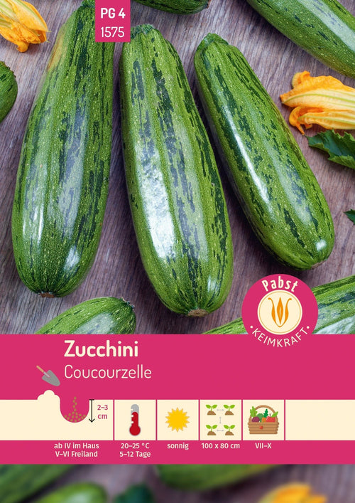 Pabst Keimkraft Zucchini Coucourzelle