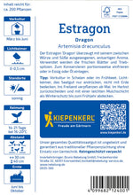 Kiepenkerl Estragon Dragon