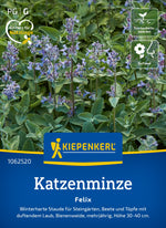 Kiepenkerl Katzenminze Felix