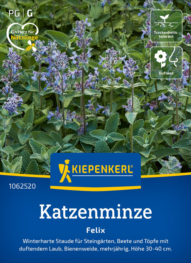 Kiepenkerl Katzenminze Felix