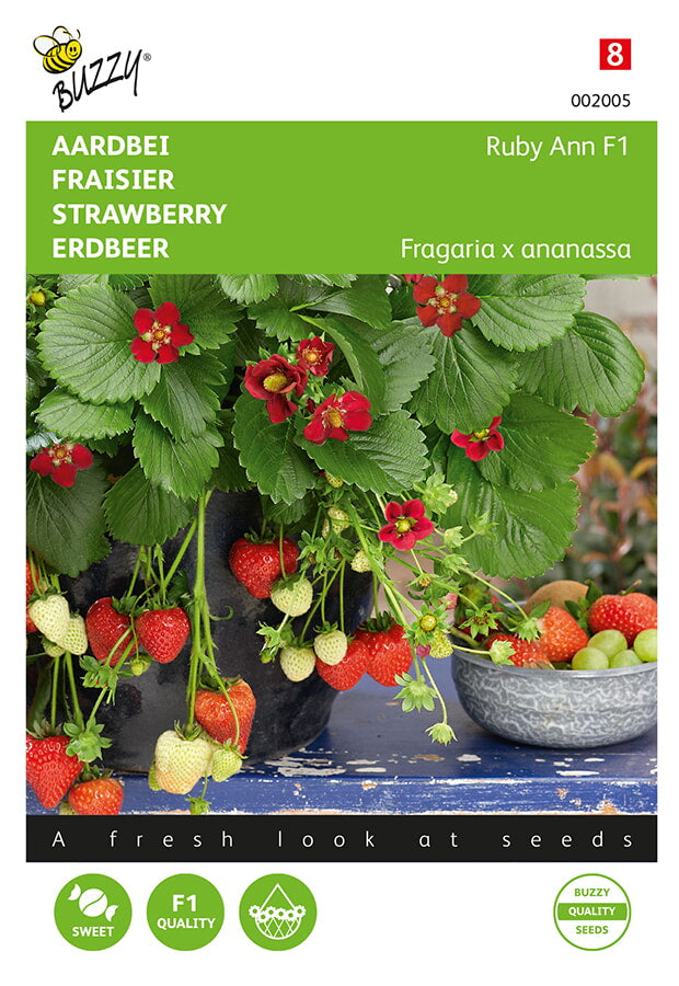 Buzzy Seeds Erdbeeren Ruby Ann F1