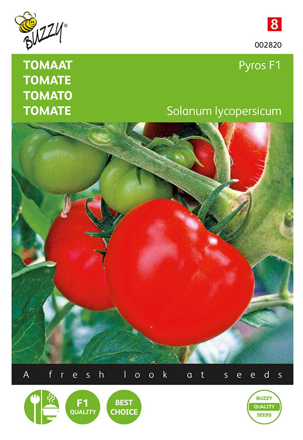 Buzzy Seeds Tomaten Pyros F1