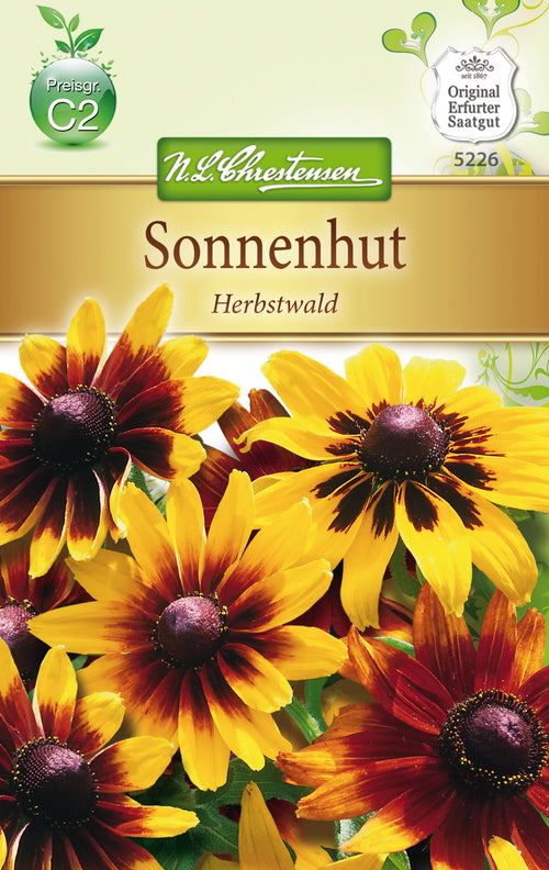 N.L. Chrestensen Sonnenhut Herbstwald